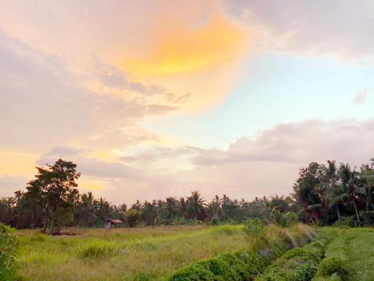 Shivananda Antique Villas By Eps Ubud Kültér fotó