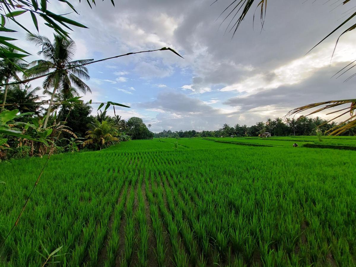 Shivananda Antique Villas By Eps Ubud Kültér fotó